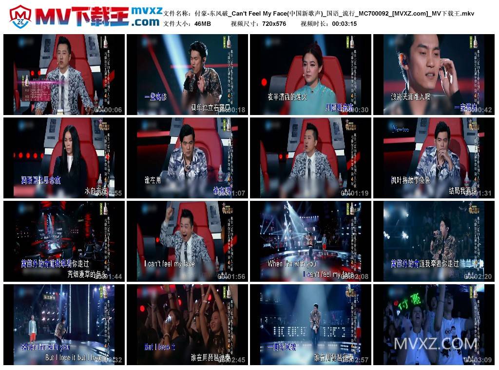 付豪-东风破_Can't Feel My Face(中国新歌声)_国语_流行_MC700092